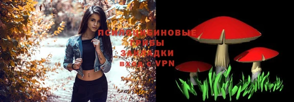 дмт Балахна